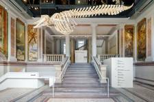 Florent LUKAS - LUKAS FLORENT