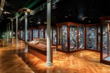 Florent LUKAS - LUKAS FLORENT